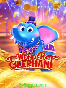 WonderElephant